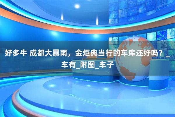 好多牛 成都大暴雨，金炬典当行的车库还好吗？_车有_附图_车子