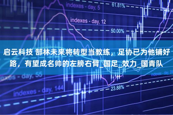 启云科技 郜林未来将转型当教练，足协已为他铺好路，有望成名帅的左膀右臂_国足_效力_国青队