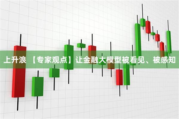 上升浪 【专家观点】让金融大模型被看见、被感知