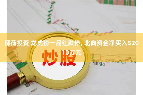 柳荷投资 龙虎榜一品红跌停, 北向资金净买入52010万元